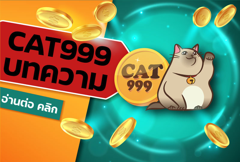 cat999